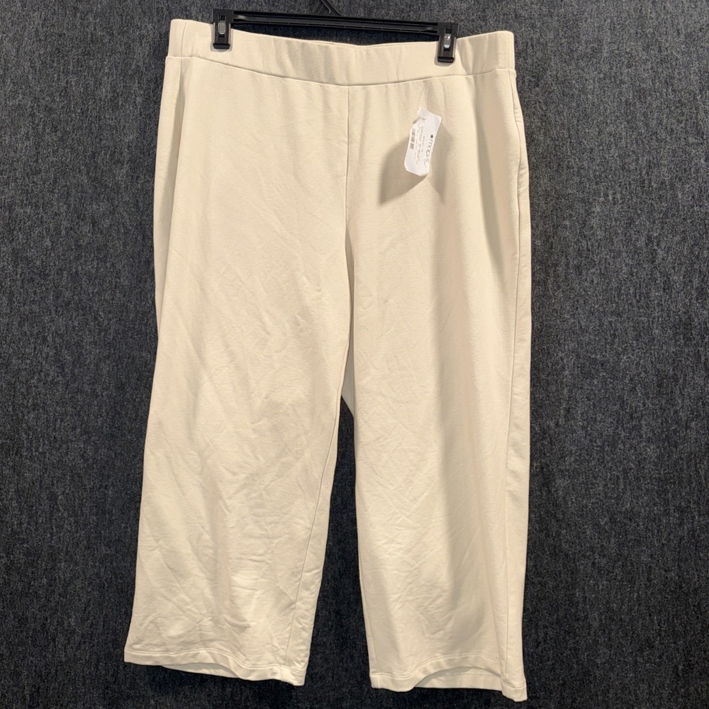 AK Anne Klein Plus Size Wide-Leg Pull-On Pants 2X Beige Stretch Comfy Travel